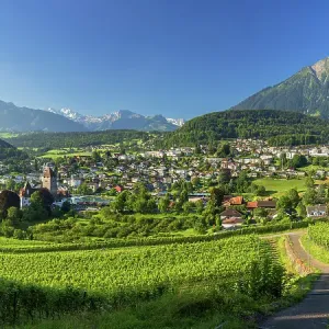 Spiez Castle, vineyards and Niesen mountain, Spiez, Canton of Bern, Switzerland Spiez Castle, vineyards and Niesen mountain, Spiez, Canton of Bern, Switzerland