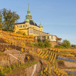 Spitzhaus at vineyard in autumn, , Radebeul, Elbe valley, saxon wine route, Radebeul