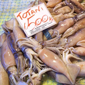 Squid, Fish Market, Ortygia, Syracuse, Sicily, Italy