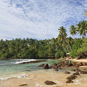 Sri Lanka, South Coast, Mirissa, Beach