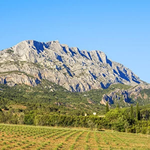 St. Victoire Mountains, Aix-en-Provence, Provence-Alpes-Cote d'Azur, France