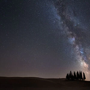 Starry sky over cypresses in Orcia Valley. Siena district, Tuscany, Italy