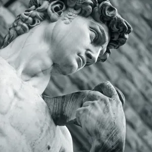 Black and White Print of Statue of David in Piazza della Signoria, Florence Black and White Print of Statue of David in Piazza della Signoria, Florence