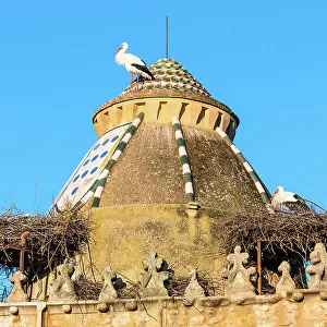 Storks nesting on the church roof, Trujillo, Extremadura, Caceres, Spain
