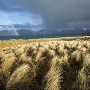 Storm passing over sand dunes at Luskentyre, Isle of Harris, Outer Hebrides, Scotland