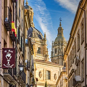 Street on the old town, Salamanca, Castile and Leon, Spain