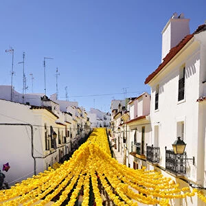Streets decorated with paper flowers. People festivities (Festas do Povo). Campo Maior