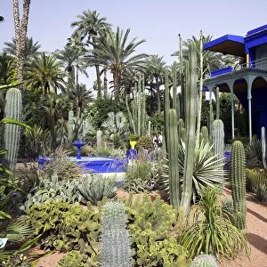 The sub-tropical Jardin Majorelle in the Ville Nouvelle of Marrakech