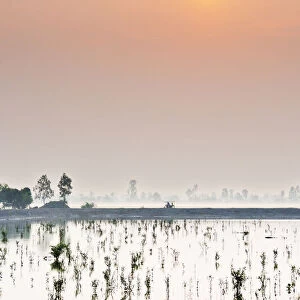 Sundarbans National Park, Tiger Reserve at dawn. West Bengal, India