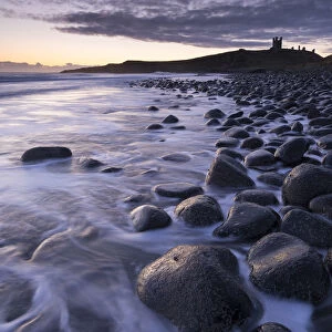 Sunrise at Embleton Bay boulder beach with Dunstanburgh Castle beyond, Northumberland