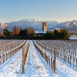 Sunrise in Franciacorta after a snowfall, Brescia province in Lombardy district, Italy Sunrise in Franciacorta after a snowfall, Brescia province in Lombardy district, Italy