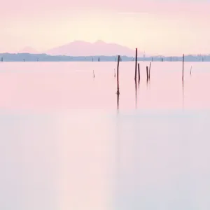 Sunset of the coast of the Isola di Pellestrina, Venice, Veneto, Italy Sunset of the coast of the Isola di Pellestrina, Venice, Veneto, Italy