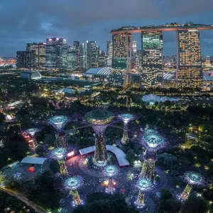 Supertree Grove Print, Gardens by the Bay, Singapore Supertree Grove Print, Gardens by the Bay, Singapore