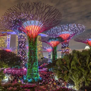 The Supertree Grove light show at Gardens by the Bay nature park, Singapore