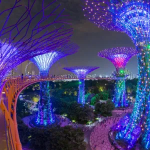 Supertrees at Gardens by the Bay, illuminated at night, Singapore, Southeast Asia