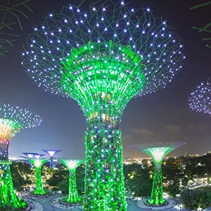 Supertrees at Gardens by the Bay, illuminated at night, Singapore, Southeast Asia