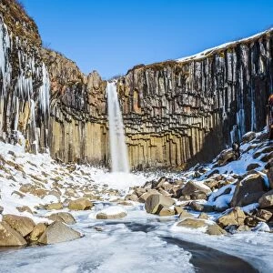 Svartifoss waterfall in winter, Skaftafell national park, East Iceland, Iceland