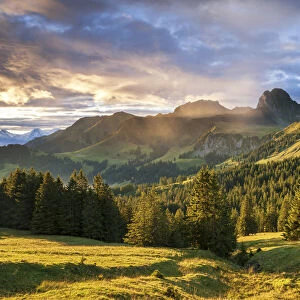 Switzerland, Berner Oberland, Gurnigel