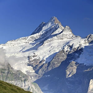 Switzerland, Bernese Oberland, Grindelwald, First, Mt Schreckhorn
