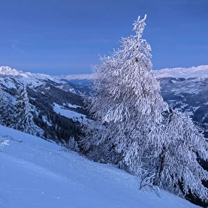 Switzerland, Canton Graubunden, Brambruesch Mountain