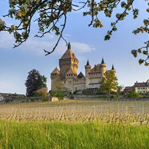 Switzerland, Canton of Vaud, Vufflens-le-Chateau castle