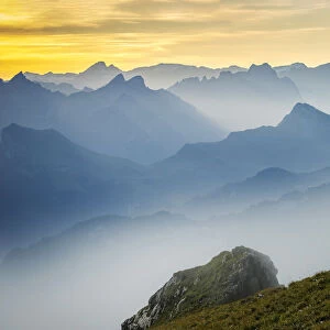 Switzerland, Lucerne, Mount Pilatus, Alpine ibex, Capra ibex (m)