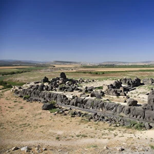 Syria, Aleppo, The 8th BC Century Hittite temple of Ain Dara