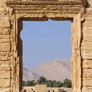 Syria, Homs Governate, Palmyra. Oasis seen through a doorway