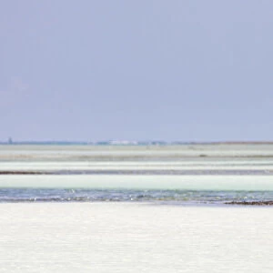 Tanzania, Zanzibar, Unguja, Pongwe. A lady looks out to sea
