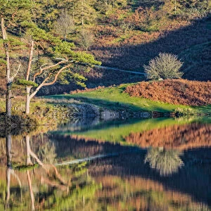 Tarn How Reflections in Autumn, Lake District National Park, Cumbria, England