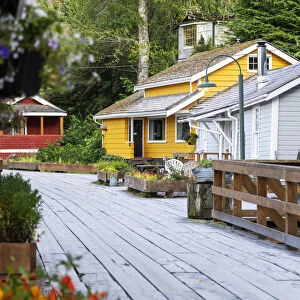 Telegraph Cove village and colorful houses, Vancouver Island. British Columbia, Canada