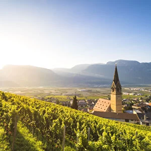 Termeno, Bolzano province, Trentino Alto Adige, Italy Views of the vineyards and the