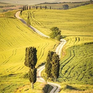 Terrapille, Pienza, Val d Orcia, Tuscany, Italy