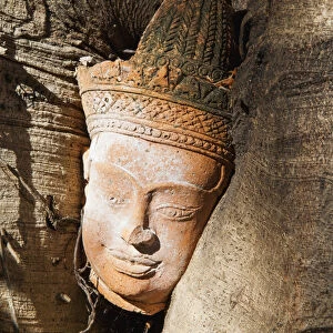 Thailand, Chiang Mai, Baan Phor Liang Meuns Terracotta Arts, Buddha Head