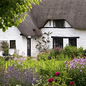 Thatched Cottage & Garden, Wiltshire, England