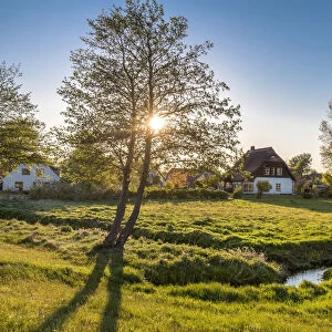 Thatched house at sunset, Vitte, Hiddensee island, Mecklenburg-Western Pomerania, Germany