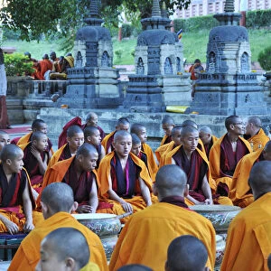 Tibetan monks in Bodhgaya, praying under the sacred Buddha banyan tree
