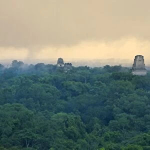 Tikal Pyramid ruins (UNESCO site) and rainforest
