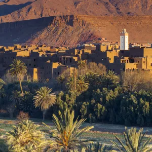 Tinerhir Kasbahs & Palmery illuminated at sunset, Tinghir, Morocco