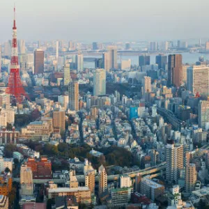 Tokyo skyline and Tokyo Tower, Tokyo, Japan