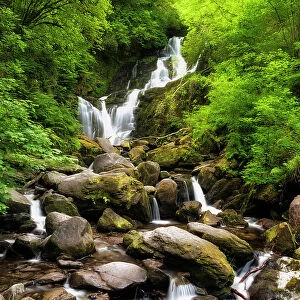 Torc Waterfall in Killarney National Park, Killarney, Ring of Kerry, Co. Kerry, Ireland, Europe