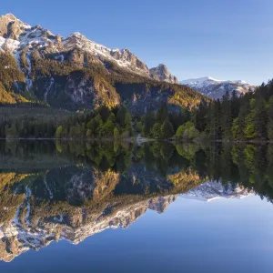 Tovel lake, Natural Park Adamello-Brenta, Trentino-Alto Adige, Italy