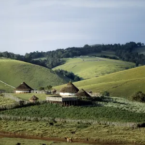 Traditional African houses surrounded by good pasture