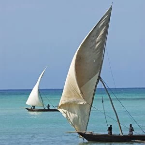 Traditional Arab dhows, Zanzibar