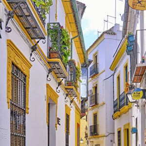 A traditional and coloured street in the old town of Cordoba, a UNESCO World Heritage Site. Andalucia, Spain