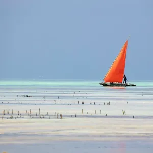Traditional dhow with red sail. Jambiani, Zanzibar, Tanzania Traditional dhow with red sail. Jambiani, Zanzibar, Tanzania