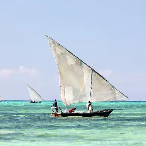 Traditional dhows used for fishing, off the coast of Nungwi, Zanzibar, Tanzania Traditional dhows used for fishing, off the coast of Nungwi, Zanzibar, Tanzania