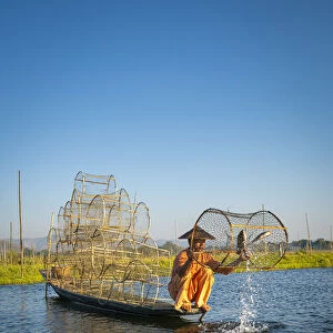 Traditional fisherman fishing on Lake Inle using cylinder fishing nets, Lake Inle