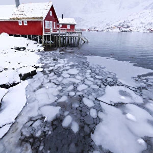 Traditional fishermans huts (Rorbu) on the icy sea, Reine Bay, Lofoten Islands