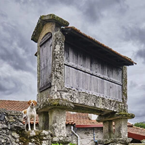 A traditional granary (espigueiro) at Bucos. Cabeceiras de Basto, Minho. Portugal